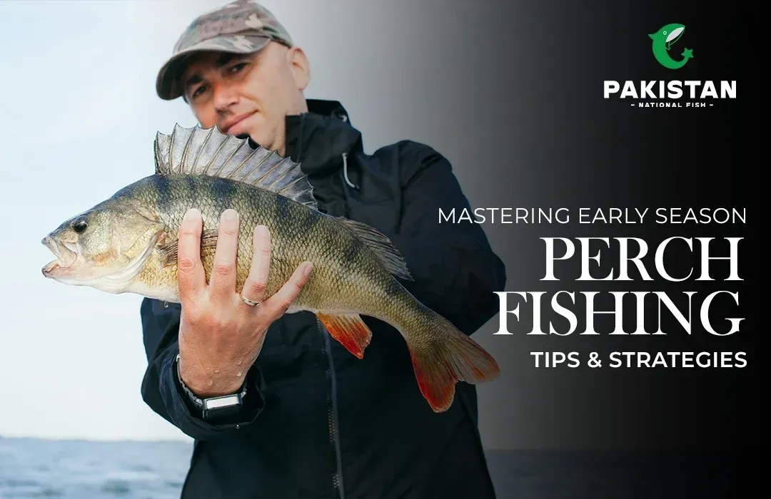 Mastering Early Season Perch Fishing: Tips & Strategies