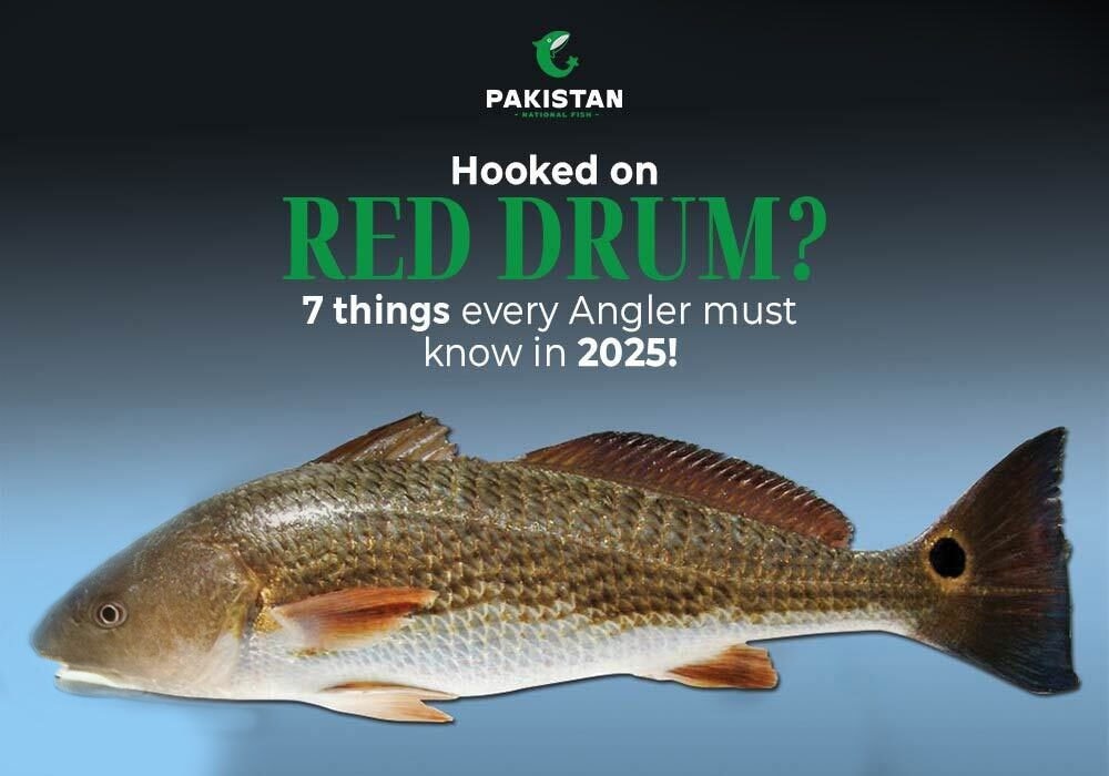 Hooked on Red Drum? 7 Things Every Angler Must Know in 2025!