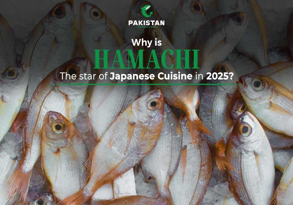 Why Is Hamachi Fish the Star of Japanese Cuisine in 2025?