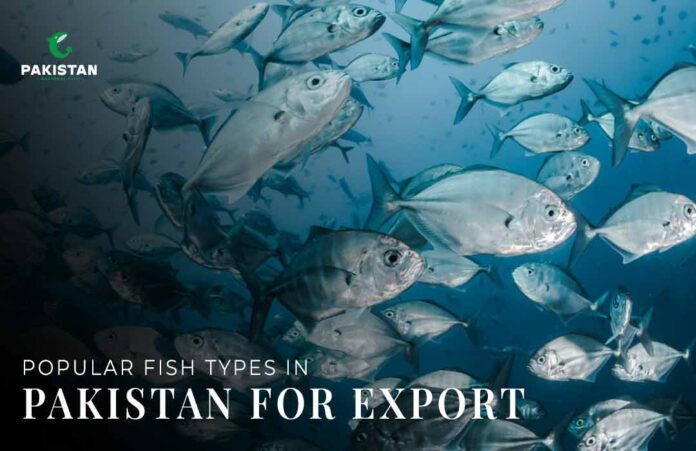 Popular fish types in Pakistan for export