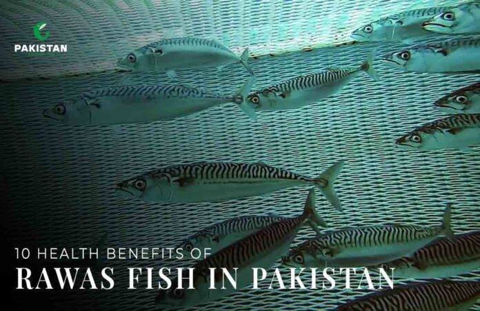 10 Health benefits of Rawas Fish in Pakistan