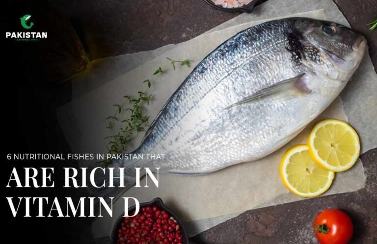 6-NUTRITIONAL-FISHES-IN-PAKISTAN-THAT-ARE-RICH-IN-VITAMIN-D