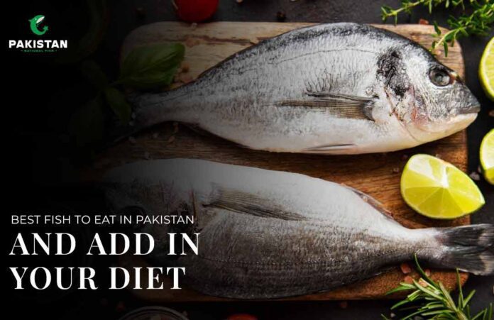 Best Fish To Eat in Pakistan And Add In Your Diet