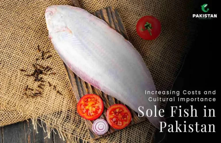 Increasing Costs and Cultural Importance: Sole Fish in Pakistan