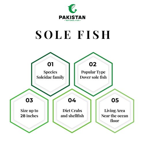 SOLE-FISH