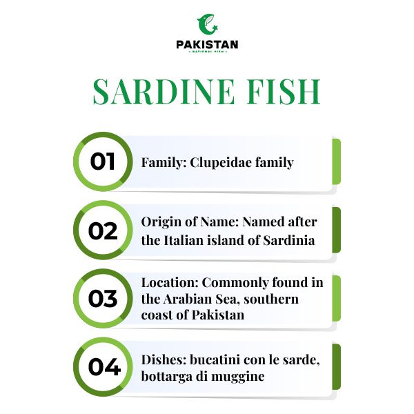 Sardine-Fish