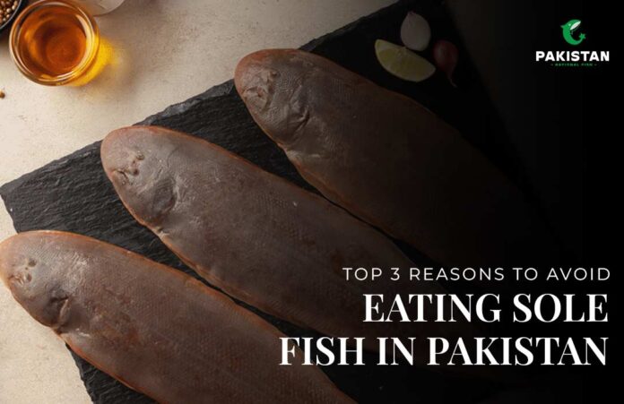 Top 3 Reasons To Avoid Eating Sole Fish in Pakistan