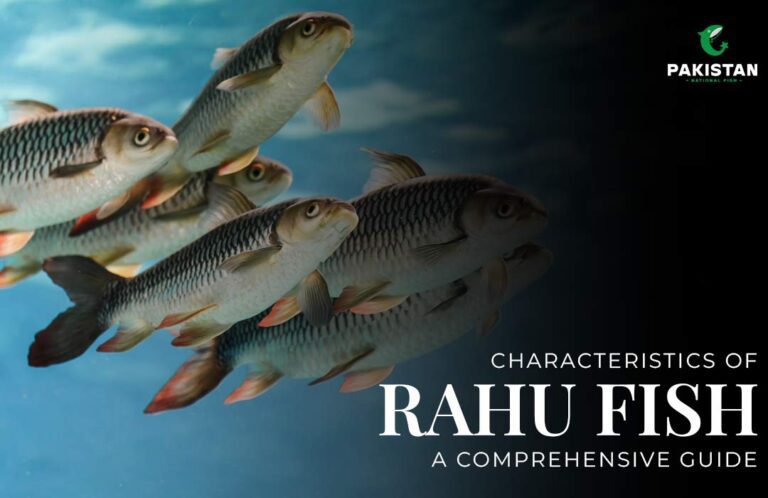 Characteristics of Rohu Fish: A Comprehensive Guide