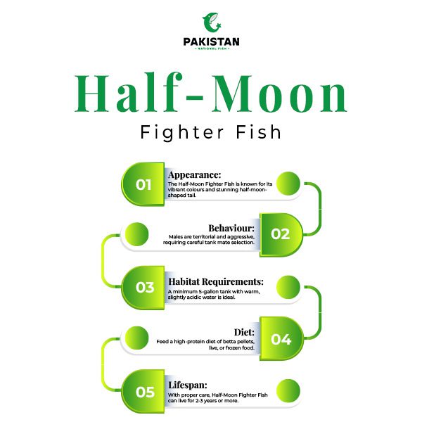 Fighter Fish