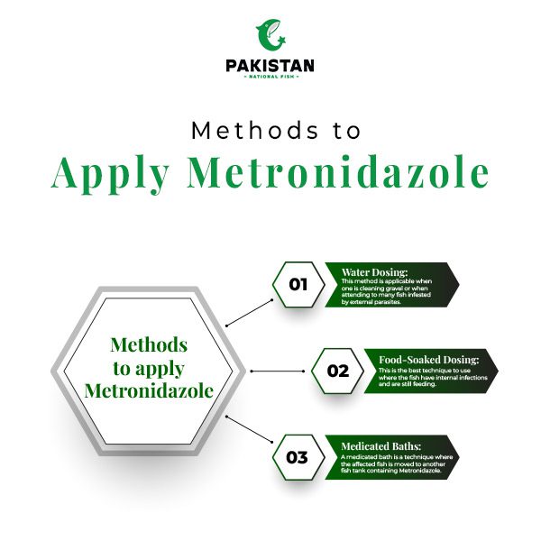 Methods to apply Metronidazole