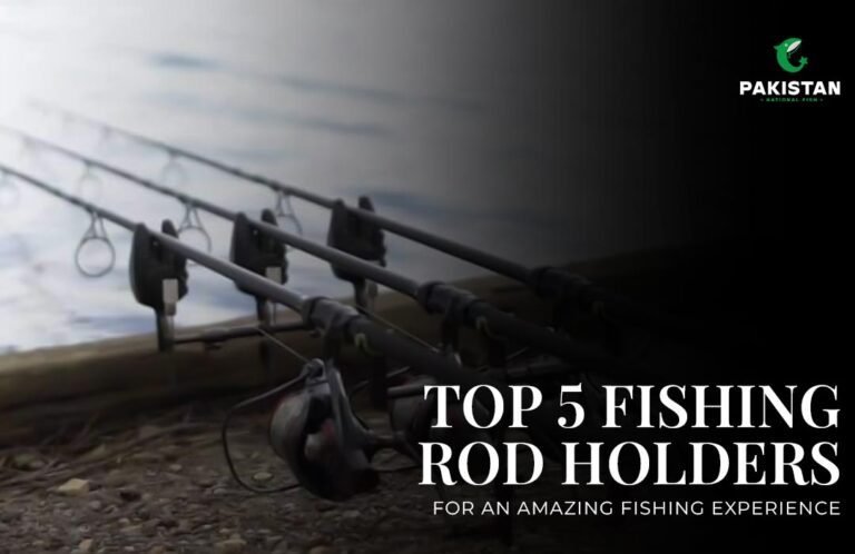 Fishing Rod Holders for an Amazing Fishing Experience