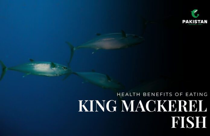 Health-Benefits-of-Eating-King-Mackerel-Fish