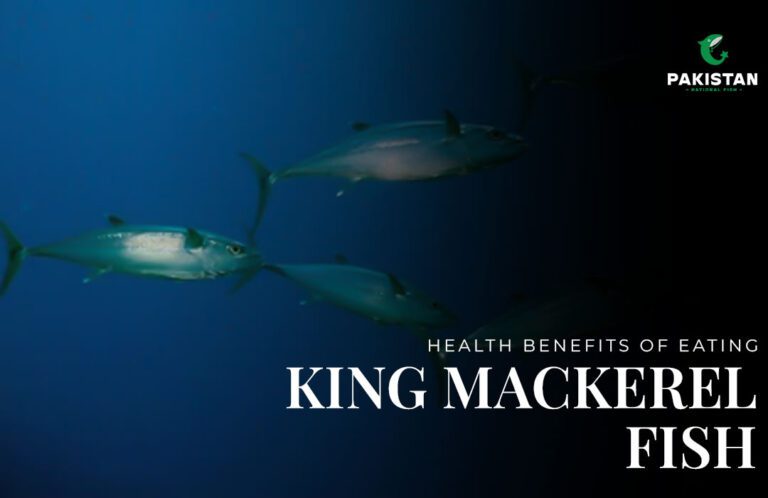 Health Benefits of Eating King Mackerel Fish