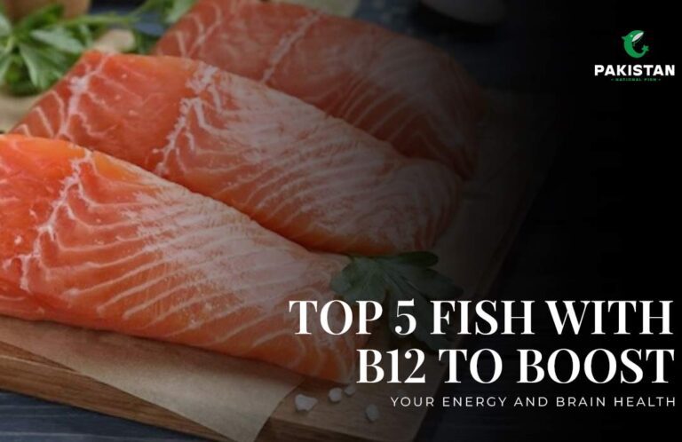 Top 5 Fish with B12 to Boost Your Energy and Brain Health