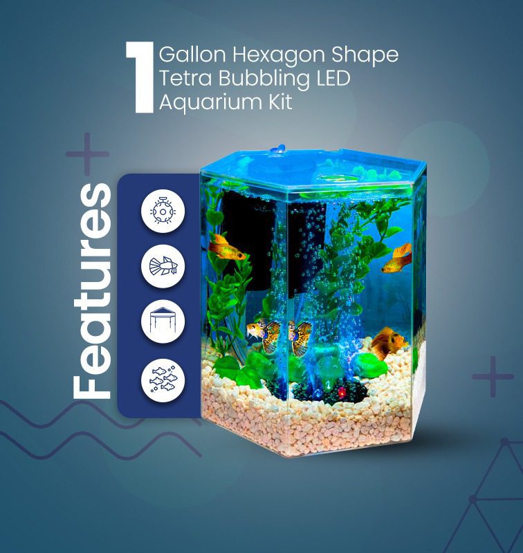 1 gallon aquarium