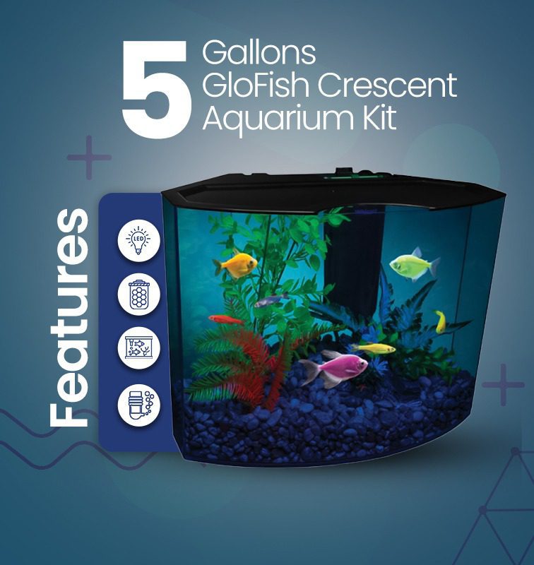 5 gallon aquarium kit