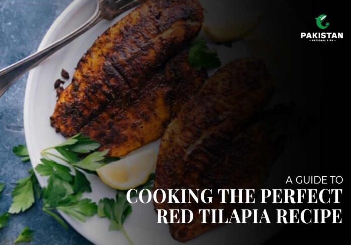 red tilapia