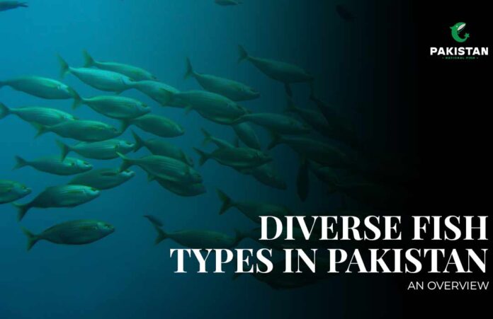 types of fish in pakistan