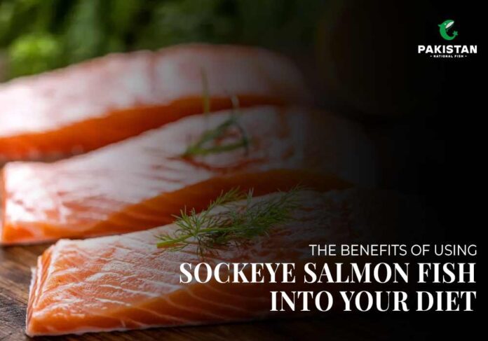 Sockeye Salmon