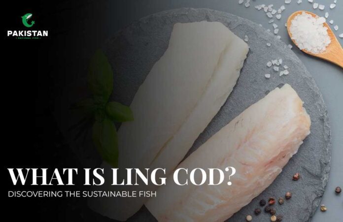 Ling Cod