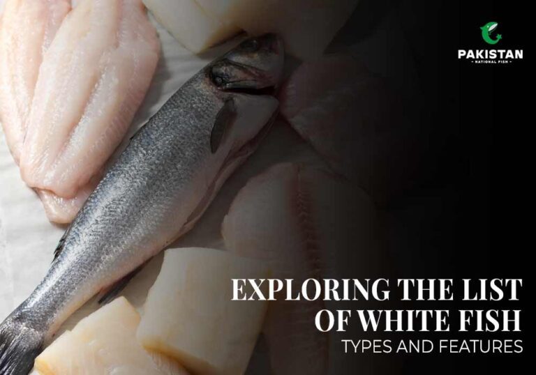 Exploring the List of White Fish: Types and Features