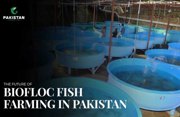 Biofloc Fish Farming