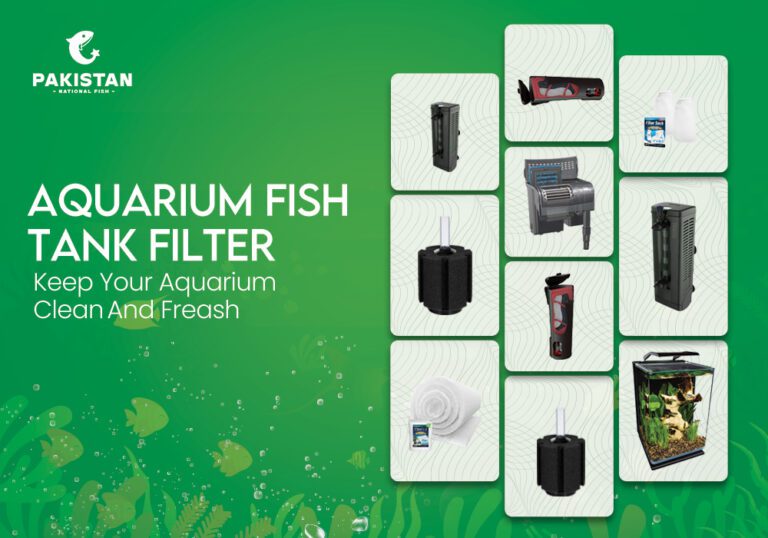 Aquarium Fish Tank Filter: Keep Your Aquarium Clean And Fresh