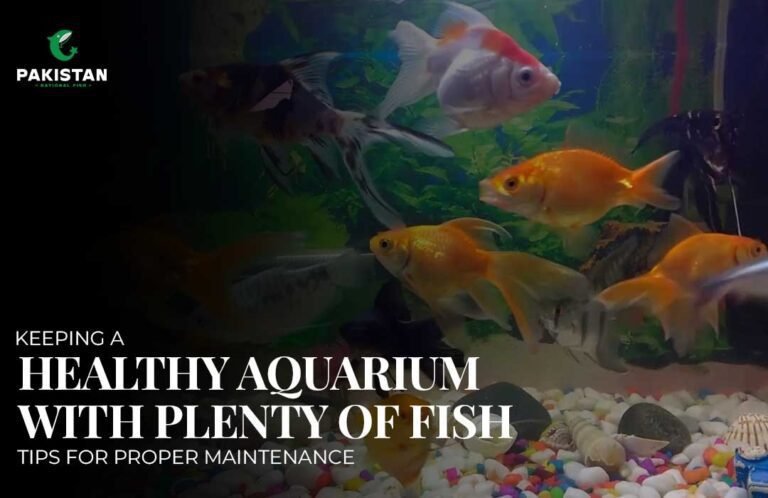 aluminum aquarium stand