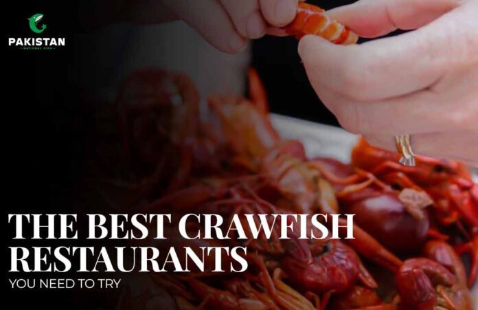 Best crawfish restaurant