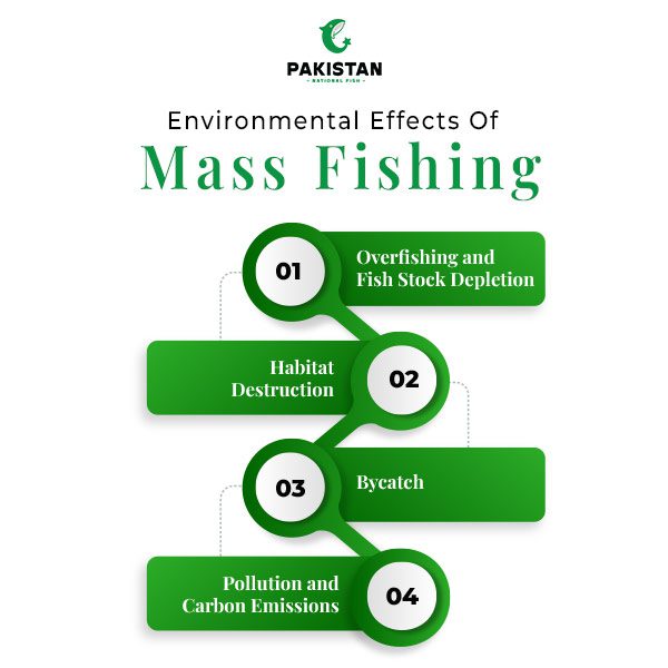 fish export