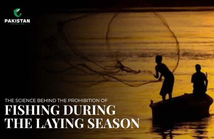 prohabition of fishing in laying season