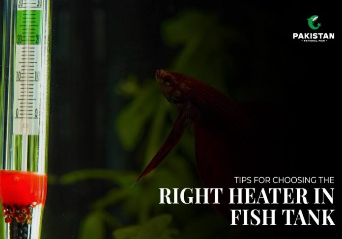 Heater in fish tank