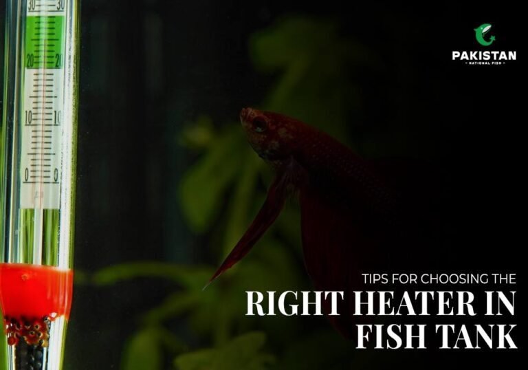 Heater in fish tank