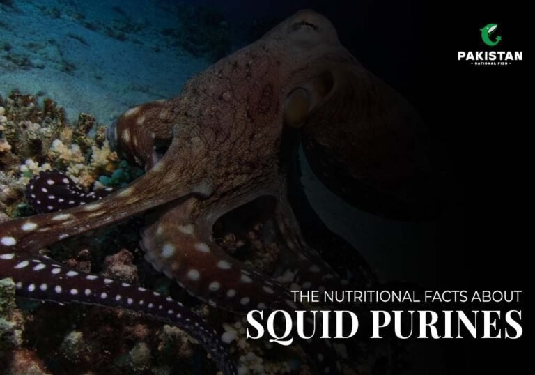 Squid Purines