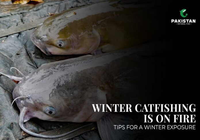 Winter Catfishing