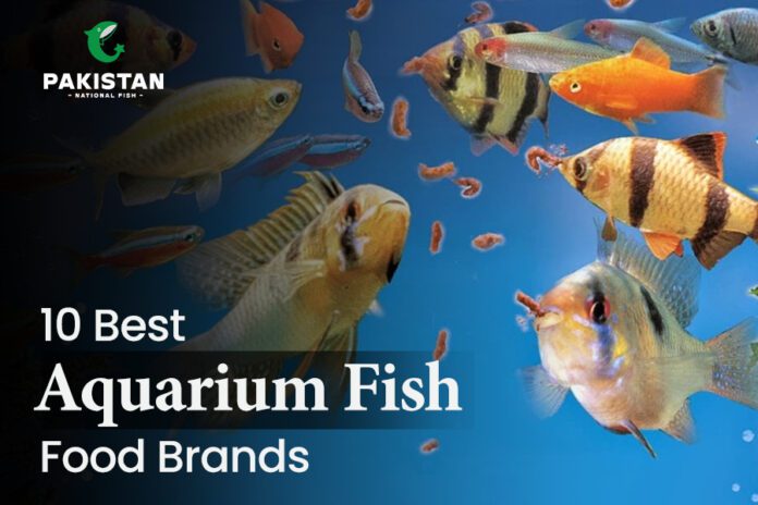 aquarium fish food brands