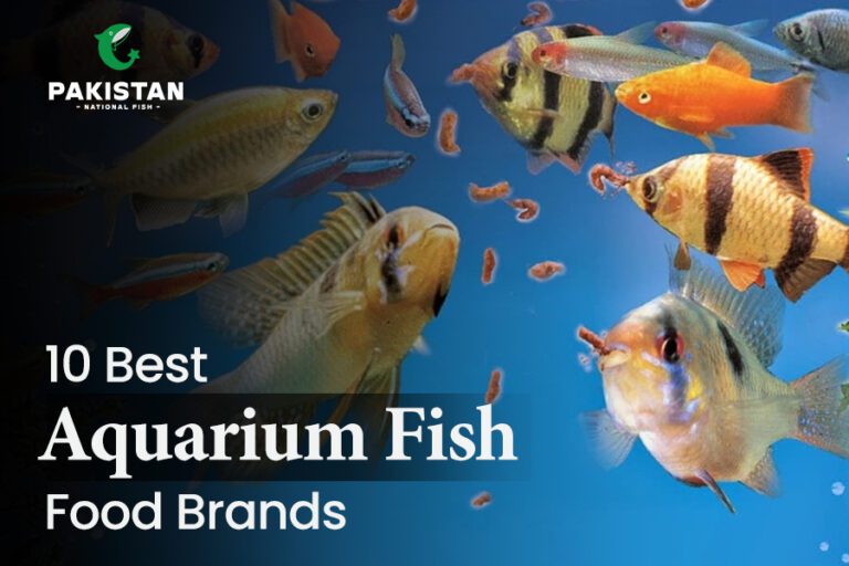 10 Best Aquarium Fish Food Brands