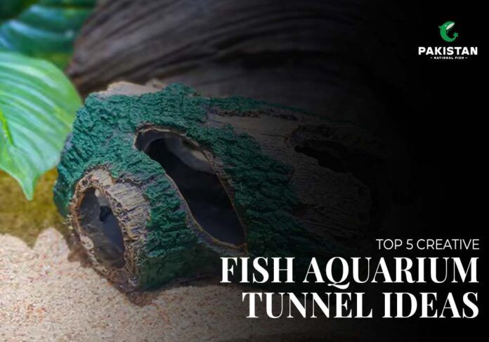 fish aquarium tunnel