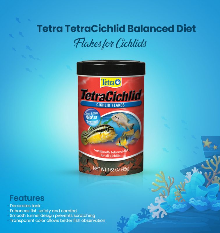 tetra fish types