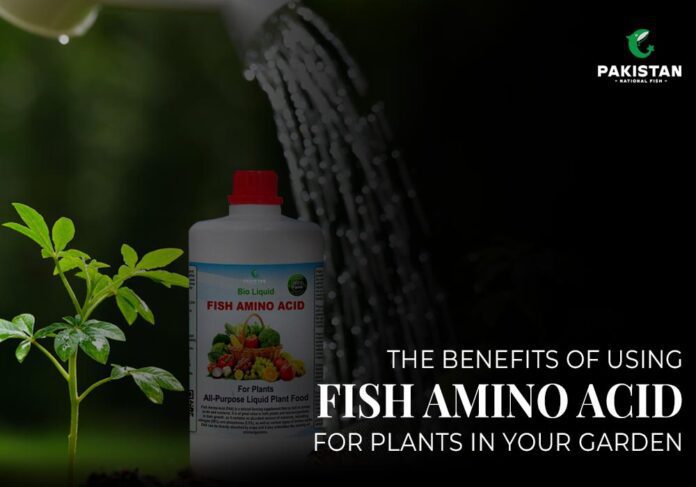 fish amino acid for plants