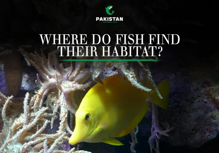 Where Do Fish Find Their Habitat?