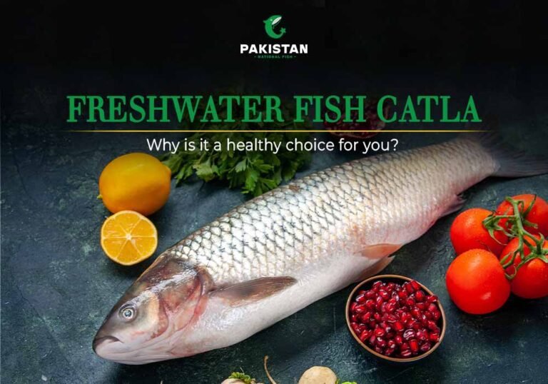 Freshwater Fish Catla