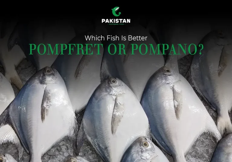 Pomfret vs Pompano - Pakistan National Fish