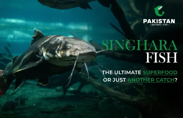SINGHARA FISH