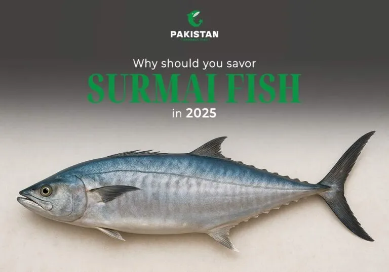 Surmai Fish - Pakistan National Fish