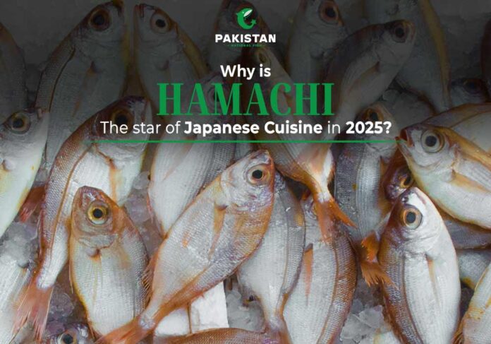 hamachi fish