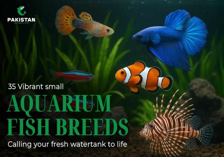 Different types of fish