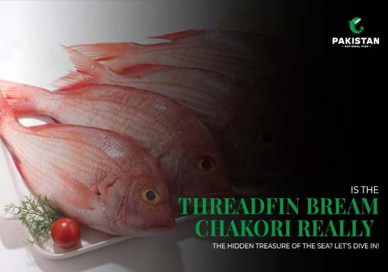 (Threadfin Bream) Chakori