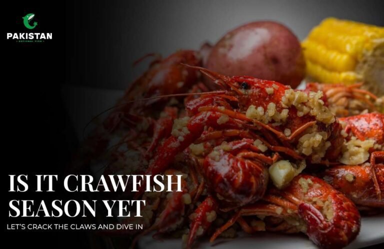 crawfish season