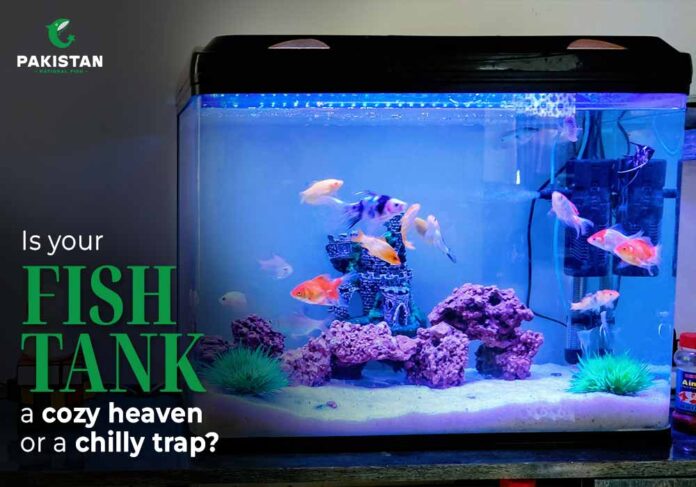 fish ornament